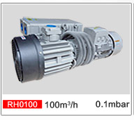 Single Stage Vane Vacuum Pump For Refrigeration Equipment Rh0100