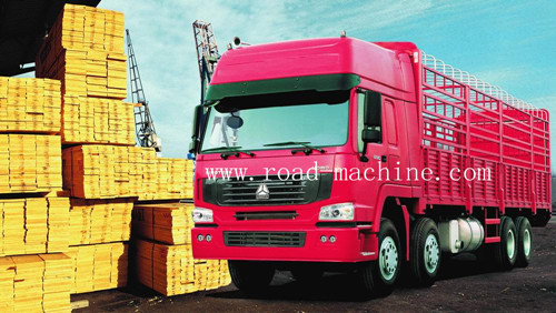 Sinotruk Howo 8x4 Cargo Truck