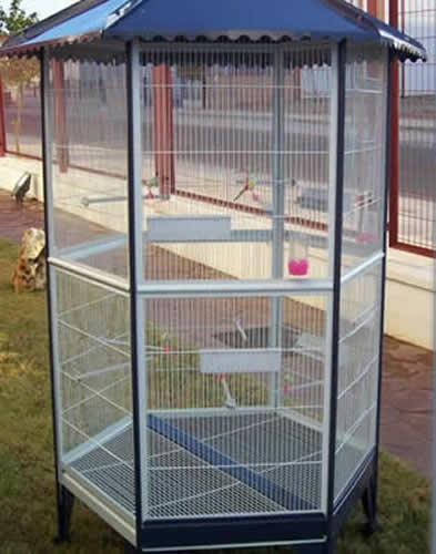 Small Bird Flight Cage Safe And Roomy Dwelling For Lovebirds