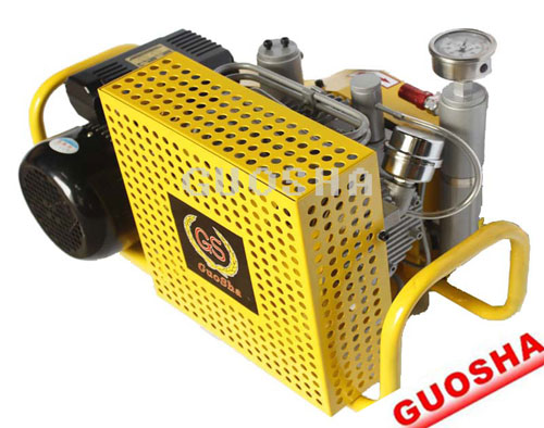 Small Size Diving Compressor 200 Bar 20 Mpa 4500psi 100l Min 440v 60hz 220v 380v 50hz Gasoline