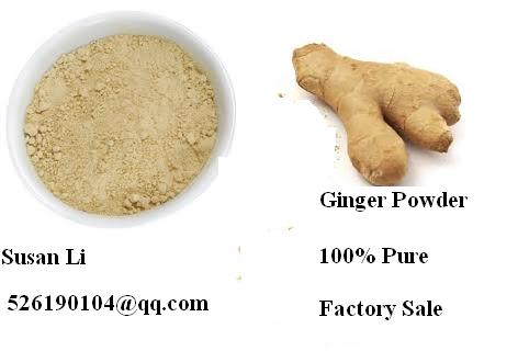 Spice Seasoning Herb Tea Benefit Digestion Sugar Free Ginger Root Powder Bulk Sale