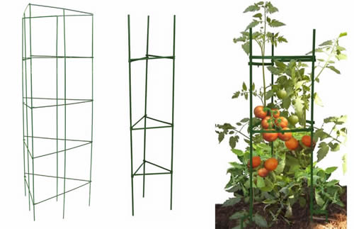 Square Folding Tomato Cages Easy Folds Flat For Compact Storage