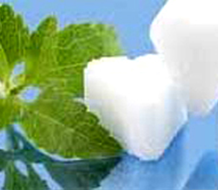 Stevia Seeds At 20 8451 Temperature Germination