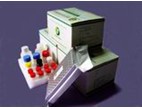 Streptomycin Elisa Test Kit