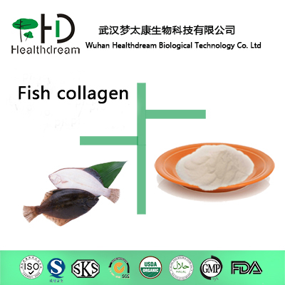 Supply High Quality Fish Collagen