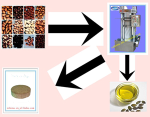 The Special Parts Of Edible Oil Refining