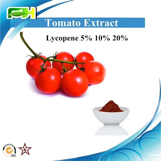 Tomato Extract Lycopene Lycopersicum Esculentum