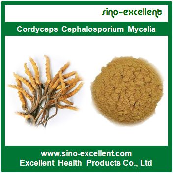 Top Quality Cordyceps Cephalosporium Mycelia
