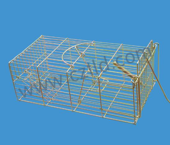 Trap Cage For Catching Mice And Other Animals Such As Feral Cats