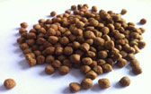 Trout Feed Supplier With Good Price