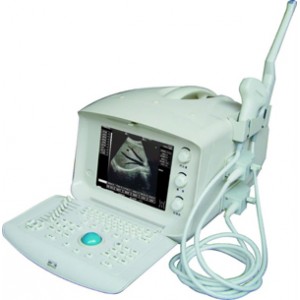 Ultrasound Scanner Character Permanent Variable