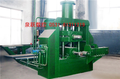 Vertical Ring Rolling Machine