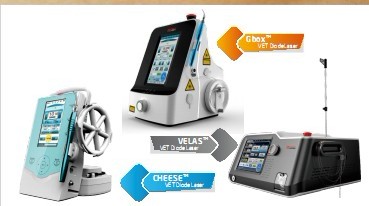 Veterinary Therapy Laser