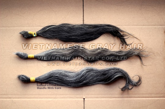 Vietnam Human Remy Gray Hair