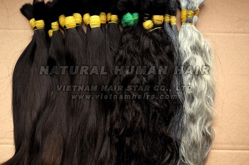Vietnamese Remy Hair Cambodian Bulk