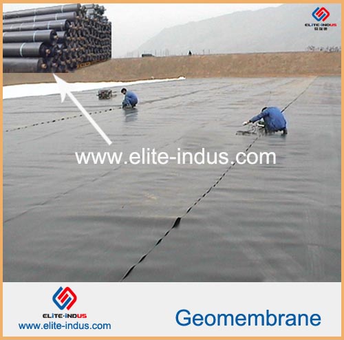 Waterproof Eva Pvc Lldpe Geomembrane Sheet
