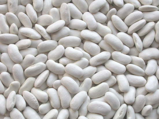 White Beans Fresh Egypt