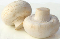 Wild White Mushroom Extract