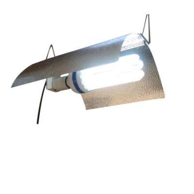 Wing Reflector For Cfl