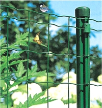Wire Mesh Fences Fencing