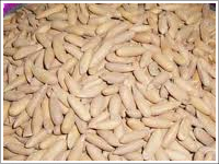 With Our Immense Domain Expertise We Are Offering Clients A Wide Assortment Of Pine Nuts Chilgoza