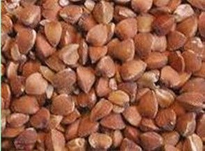 100 Natural Buckwheat Seed Extract