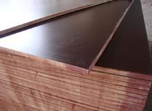 12mm Poplar Core Film Faced Plywood