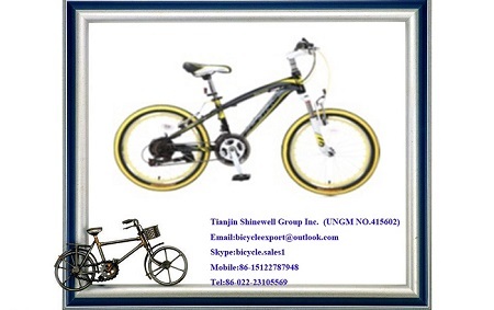 20 Inch Mountain Bicycle With Fork Suspension Disc Brake