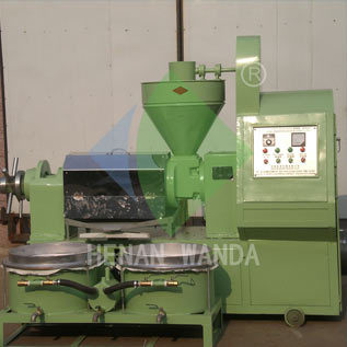 6yl 100a Combined Screw Oil Press
