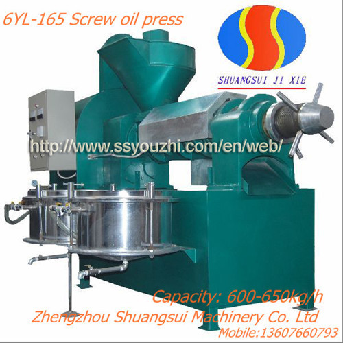 6yl 165 Screw Oil Press Machine