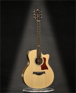 Acoustic Guitar K A2ceq