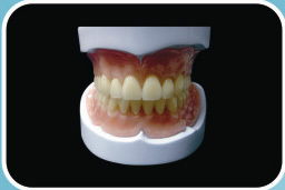 Acrylic Denture Complete Unbreakable Resin Endura Teeth Soft Lining Base