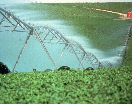 Alfalfa Farmland Center Pivot Irrigation System Large