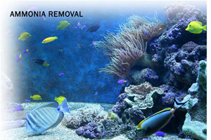 Ammosorb Eco Aquarium Ammonia Removal Granules 2 Lb