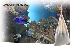 Ammosorb Eco Aquarium Ammonia Removal Pouch Medium
