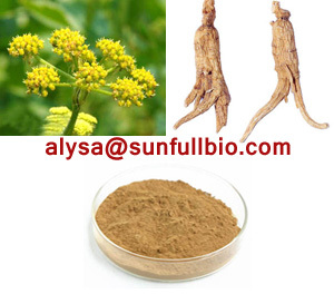 Angelica Dong Quai Extract