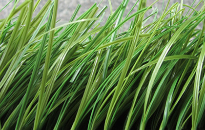Artificial Grass Pp Monofilament Bicolor