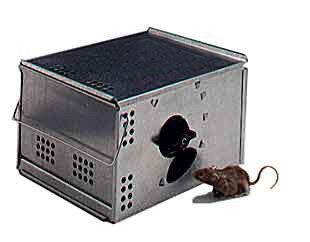 Automatic Multi Catch Mouse Trap Sx 5004