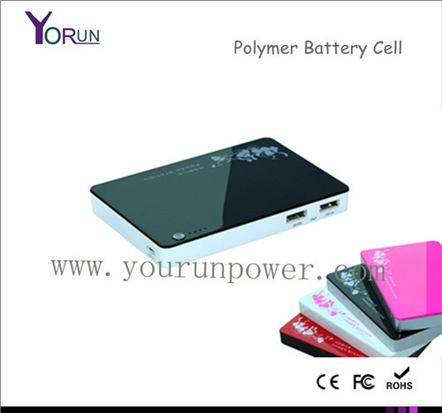 Backup Batteries 5000mah Power Banks For Ipad