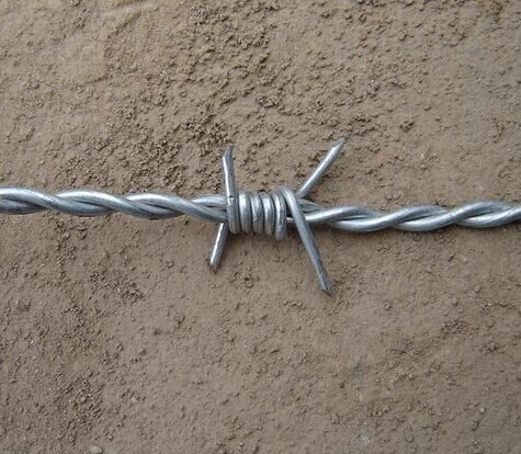 Barbed Wire Double Strand