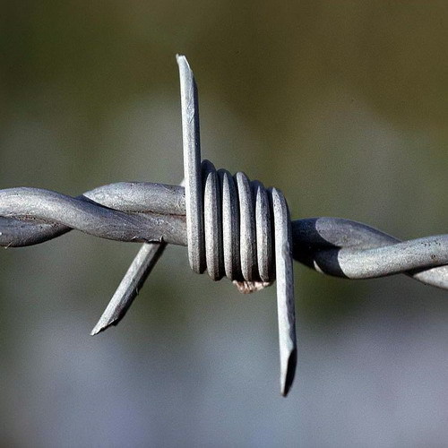 Barbed Wire Galvanized Pvc Coated Stainless Steel