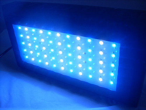 Best Quality 120w Led Aquarium Lighting Dimmable Factory Sale For 20 L 2013