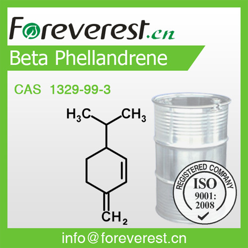 Beta Phellandrene Cas 1329 99 3 Foreverest