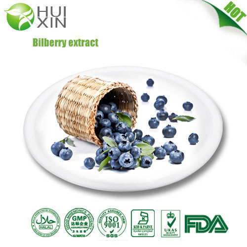 Bilberry Extract 25 30 40
