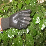 Black Nitrile Coated Working Gloves Ng1501 9