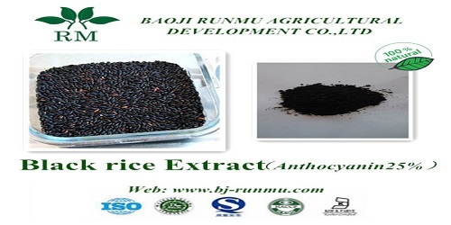 Black Rice Extract Anthocyanidins 25