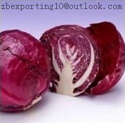 Cabbage Red Natural Pigment