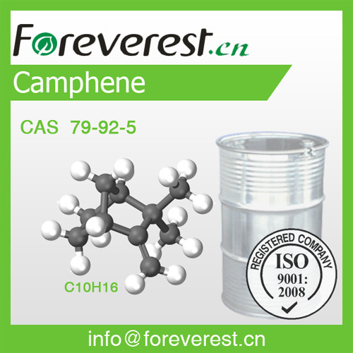 Camphene Cas 79 92 5 Foreverest