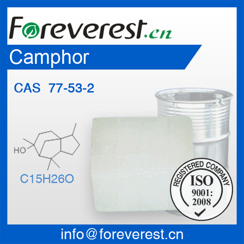 Camphor Supply Cas 77 53 2 Foreverest