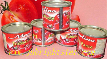 Canned Tomato Paste Sauce Ketchup